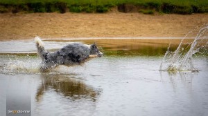 Hundefoto-Fotoshooting-Wasser-Natur-MA4 4417-1 (1)